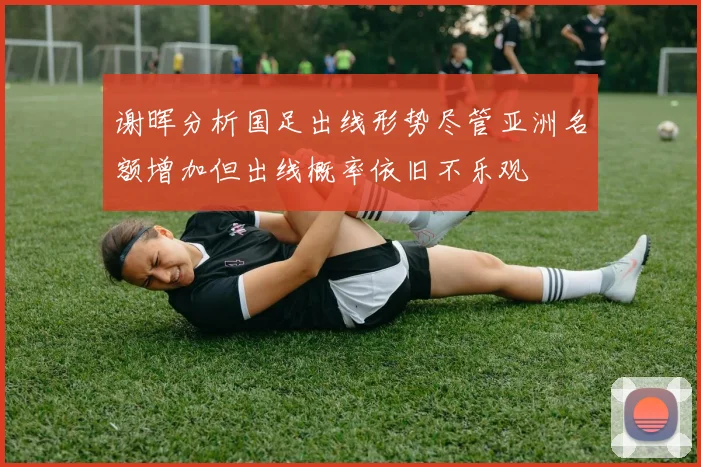 谢晖分析国足出线形势尽管亚洲名额增加但出线概率依旧不乐观